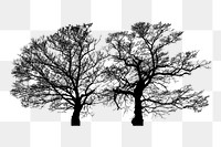 Leafless tree silhouette png sticker, transparent background. Free public domain CC0 image.