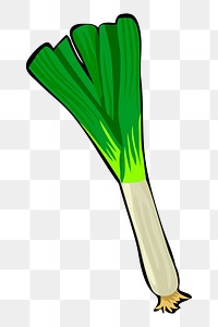 Leek png sticker, transparent background. Free public domain CC0 image.