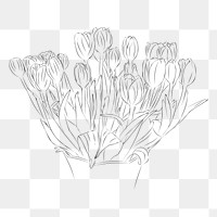Png tulips line art sticker, transparent background. Free public domain CC0 image.