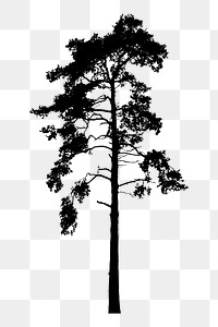 Tree silhouette png sticker, transparent background. Free public domain CC0 image.
