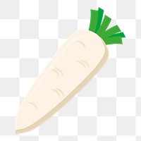 Daikon png sticker, transparent background. Free public domain CC0 image.