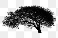 Tree silhouette png sticker, transparent background. Free public domain CC0 image.