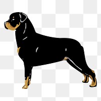 Rottweiler  png sticker pet illustration, transparent background. Free public domain CC0 image.