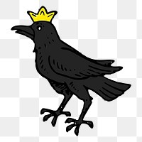 King raven png sticker animal illustration, transparent background. Free public domain CC0 image.