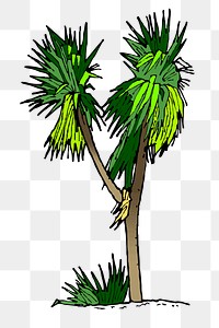 Palm tree png sticker nature illustration, transparent background. Free public domain CC0 image.