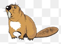 Beaver png sticker animal illustration, transparent background. Free public domain CC0 image.