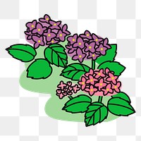 Hydrangea bush png sticker nature illustration, transparent background. Free public domain CC0 image.