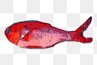 Red sea bass png sticker seafood illustration, transparent background. Free public domain CC0 image.