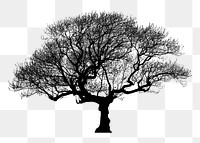 Silhouette big tree png sticker nature illustration, transparent background. Free public domain CC0 image.