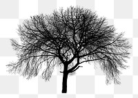 Silhouette tree png sticker nature illustration, transparent background. Free public domain CC0 image.