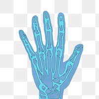 X-ray hand png sticker medical illustration, transparent background. Free public domain CC0 image.