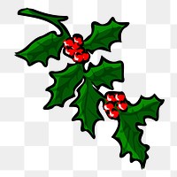 Holly png sticker Christmas decorate illustration, transparent background. Free public domain CC0 image.