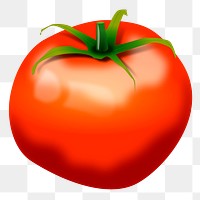 Tomato png sticker food illustration, transparent background. Free public domain CC0 image.