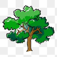 Big tree png sticker nature illustration, transparent background. Free public domain CC0 image.