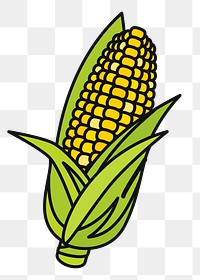 Corn png sticker food illustration, transparent background. Free public domain CC0 image.