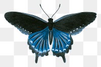 Blue butterfly png sticker animal illustration, transparent background. Free public domain CC0 image.