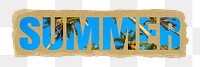 Summer png torn paper sticker typography, tropical palm tree, transparent background