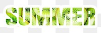 Summer png word sticker typography, green kiwi fruit in transparent background