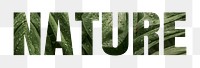 Nature png word sticker typography, green jungle leaves, transparent background