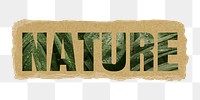 Nature png word sticker typography, green jungle leaves, torn paper in transparent background