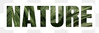 Nature png word sticker typography, green jungle leaves, transparent background