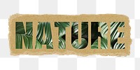 Nature png word sticker typography, green tropical leaves, torn paper in transparent background