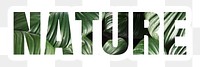 Nature png word sticker typography, green tropical leaves, transparent background