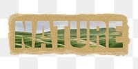 Nature png word sticker typography, green field landscape, ripped paper in transparent background