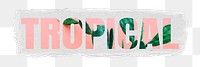 Tropical png word, cactus in pink, torn paper in transparent background