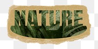 Nature png word sticker, leaf design on ripped paper, transparent background
