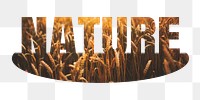 Nature png word sticker, barley field on transparent background