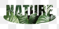 Nature png word sticker, leaf on transparent background