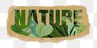 Nature png word sticker, leaf design on ripped paper, transparent background