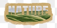 Nature png word sticker, hills on ripped paper, transparent background