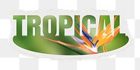 Tropical png word sticker, ripped paper, transparent background