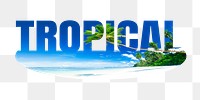 Tropical png word sticker, palm tree on transparent background