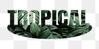 Tropical png word sticker, leaf on transparent background