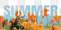 Summer word png border sticker, poppy design, transparent background