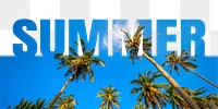 Summer word png border sticker, palm tree design, transparent background