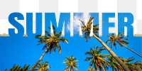 Summer word png border sticker, palm tree design on torn paper, transparent background