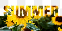 Summer word png border sticker, sunflower design, transparent background