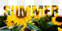 Summer word png border sticker, sunflower on torn paper, transparent background