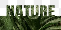 Nature word png border sticker, leaf design, transparent background