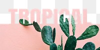 Tropical word png border sticker, cactus design, transparent background