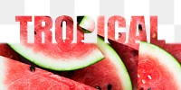 Tropical word png border sticker, watermelon design, transparent background