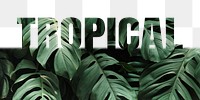 Tropical word png border sticker, Monstera leaf, transparent background