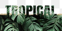 Tropical word png border sticker, Monstera leaf on torn paper, transparent background