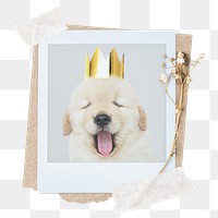 Cute dog png sticker instant photo, aesthetic flower design, transparent background