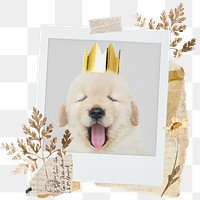 Cute dog png sticker instant photo, aesthetic leaf design, transparent background