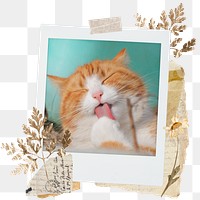 Cute cat png sticker instant photo, aesthetic leaf design, transparent background